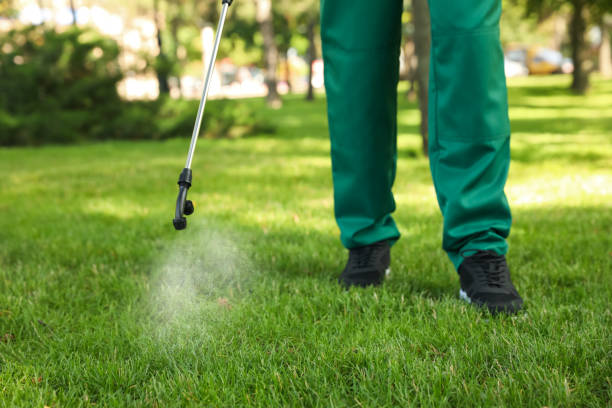 Best Exterminator Services  in Somerville, TN