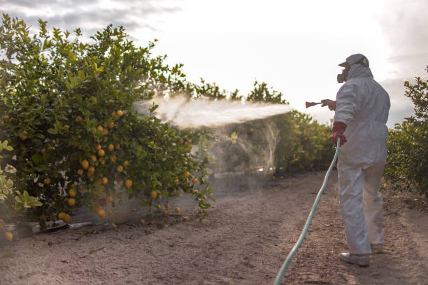 Best Pest Control for Restaurants  in Somerville, TN