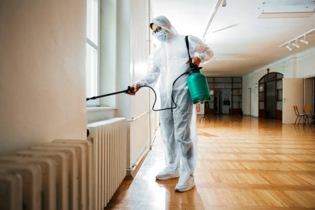 Best Affordable Pest Control Services  in Somerville, TN