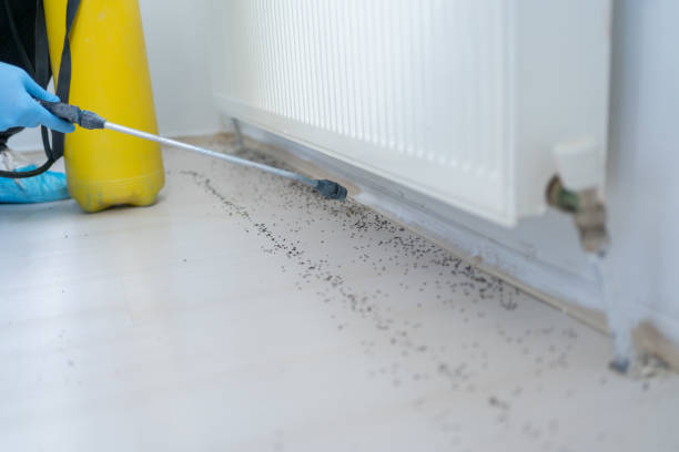 Best Best Pest Control Companies  in Somerville, TN